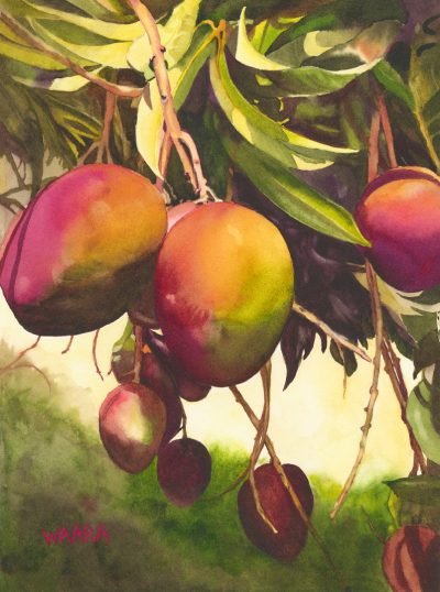 Mango Tango watercolor of red mangos