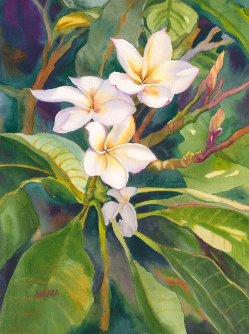 Fragrance watercolor of plumeria
