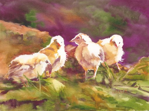 Chicks Sunbathing - original watercolor painting