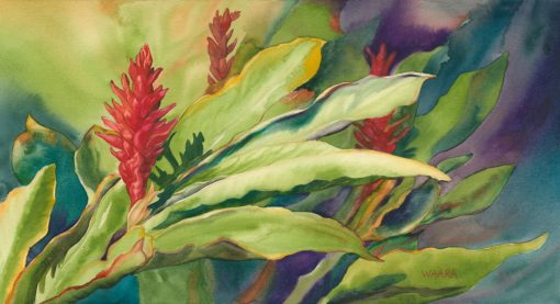 Evening Fire watercolor of red ginger