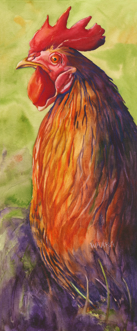 Mr. Bach Bigock Watercolor of rooster