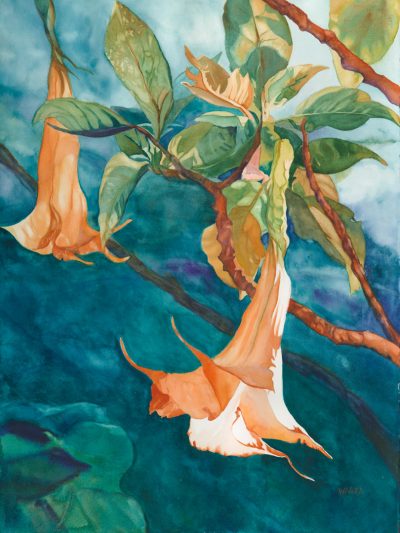 "Silent Trumpets" Watercolor Painting of trumpet flowers
