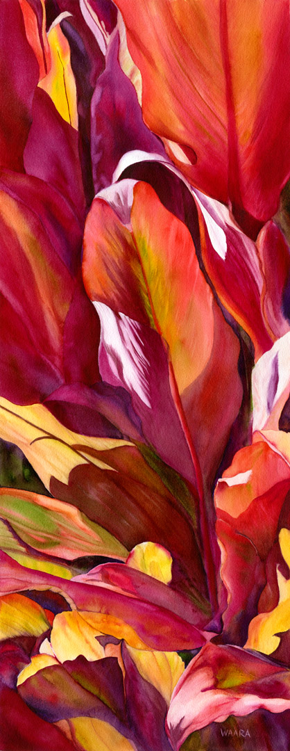 Red Ti, Set, Go watercolor painting or red ti leaves