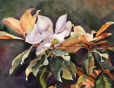 "Late Bloomer" watercolor of magnolias