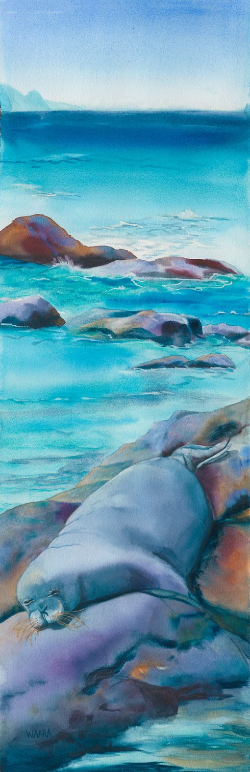 ‘Ilioholoikauaua watercolor painting of monk seal