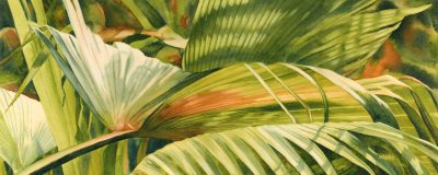 Watercolor painting of loulu palm at The Merwin Conservancy on Maui Hawaii