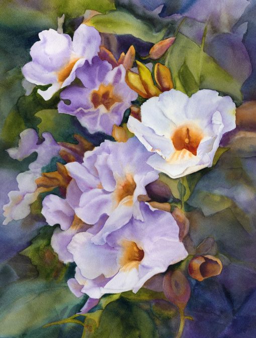Fine art watercolor painting of morning glory flowers