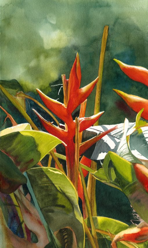 Original watercolor painting "Hidden Gem" of crab claw heliconia by Maui artist Christine Waara