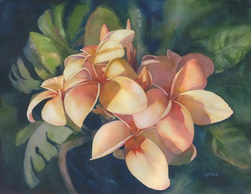 Original watercolor painting "Soft Petal" of white plumeria flowers by Maui artist Christine Waara