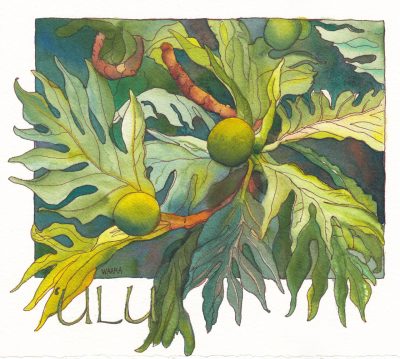 Ulu original watercolor painting by Maui artist Christine Waara