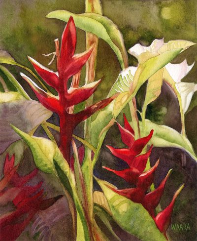 "Lobster Claw Heliconia" original watercolor painting by Maui artist Christine Waara