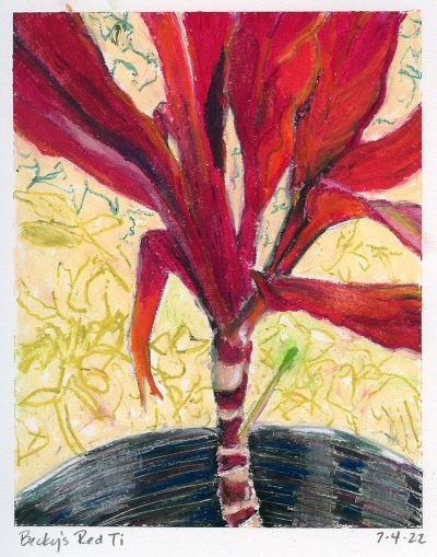 Original oil pastel painting of a red ti plant titled "Becky's Red Ti" by Maui artist Christine Waara