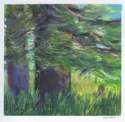 Original oil pastel painting of upcountry pines titled "Split Between Two Pines" by Maui artist Christine Waara