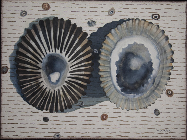 Original watercolor and cold wax painting of two opihi shells titled 