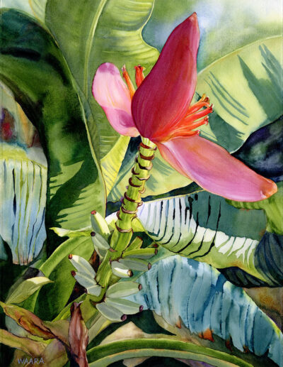 Original watercolor and cold wax painting titled "Looking Up" of a unique banana flower that reaches upward by Maui artist Christine Waara